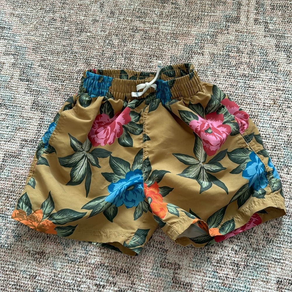 Blue Rooster Pink Chicken Boys Suit 8